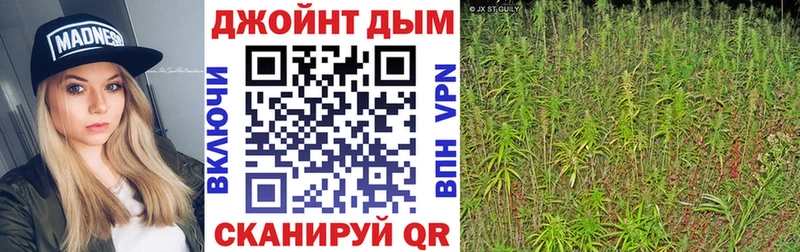 Купить  Рузаевка  МАРИХУАНА семена 